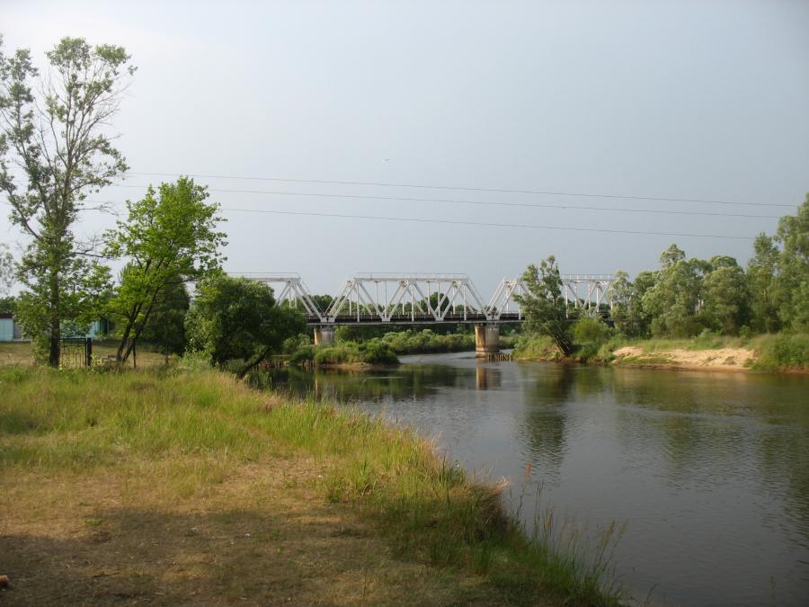 Конечная точка сплава - ж.д. мост через Птичь. От устья Птичи до моста шли против течения 2,5 часа.