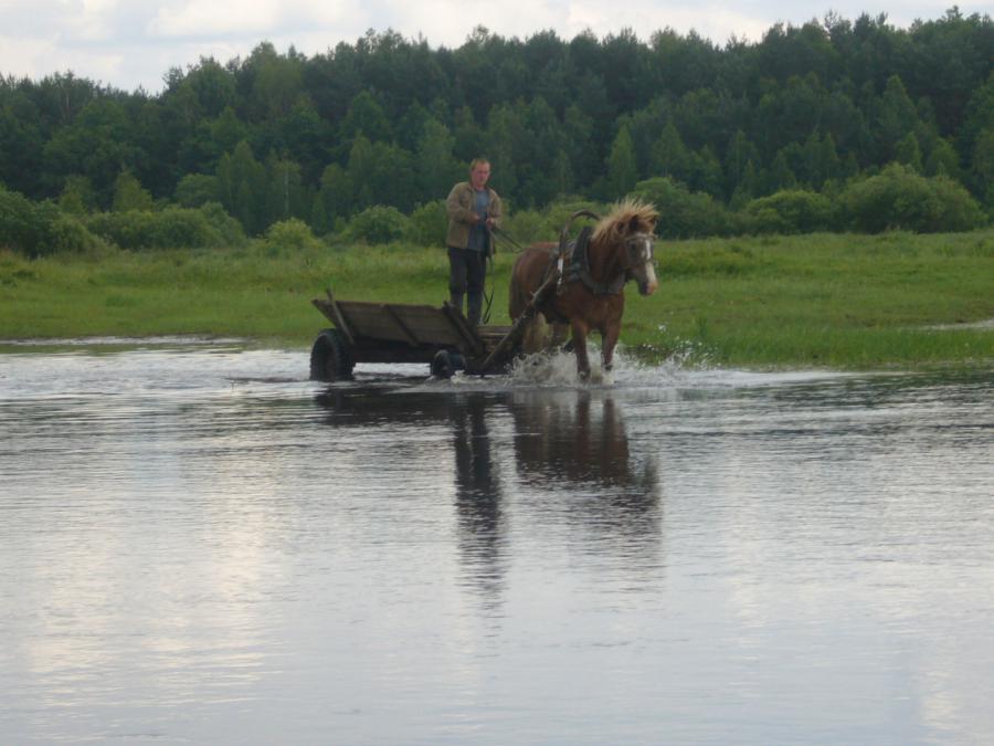 Впереди казак на лихом коне начинает переходить реку вброд