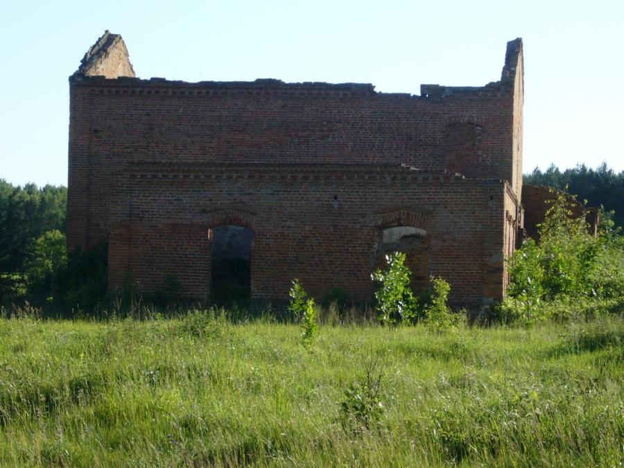 Развалины близ Лучиц (вид с реки)