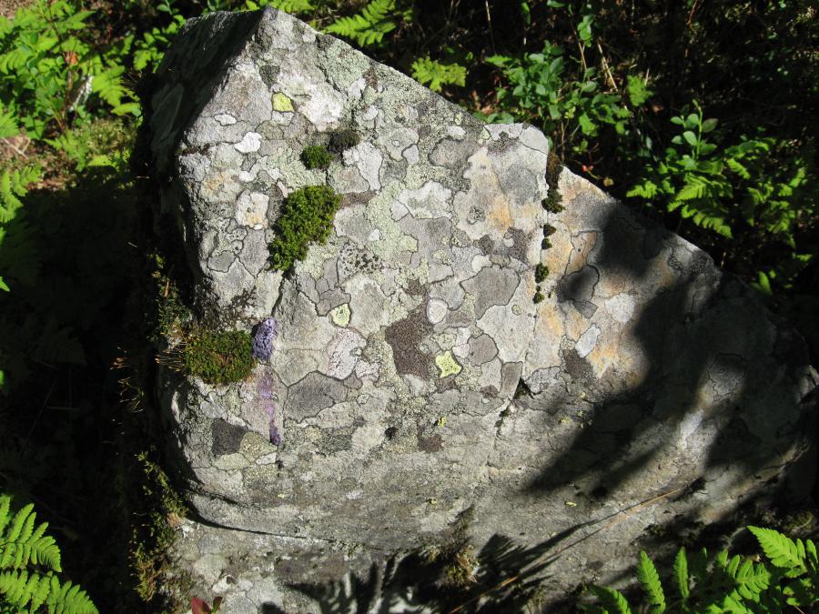 Мозаика на камне.